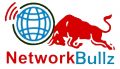 Networkbullz Internet Pvt Ltd